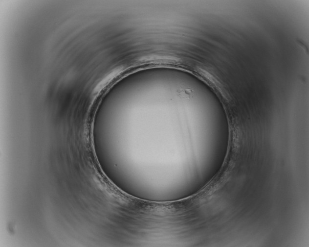 X0000099541074200805231121