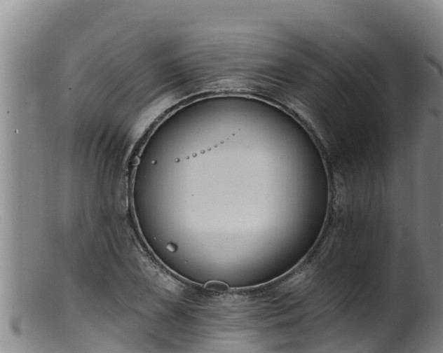 X0000099541075200805231121