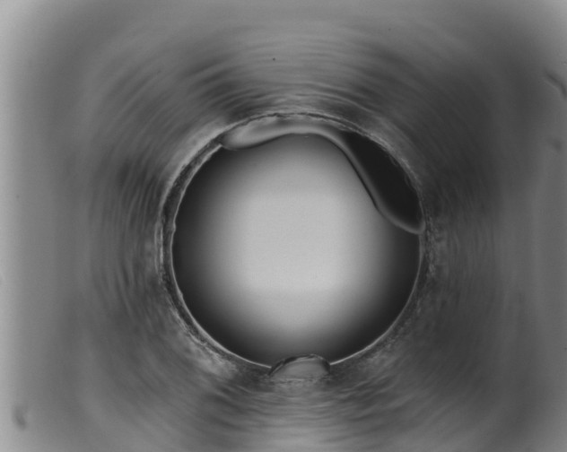 X0000099541076200805231121