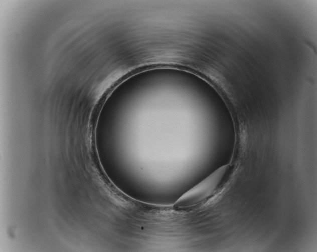 X0000099541077200805231121