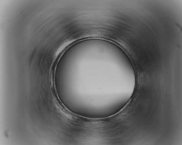 X0000099541078200805231121