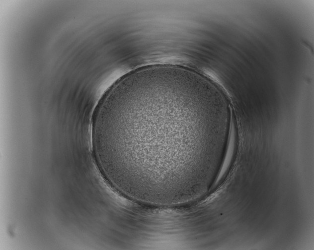 X0000099541079200805231121