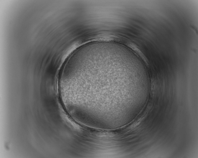 X0000099541083200805231121