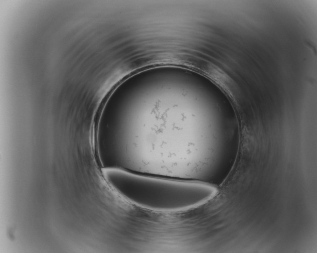 X0000099541084200805231121