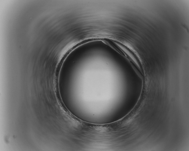 X0000099541085200805231121