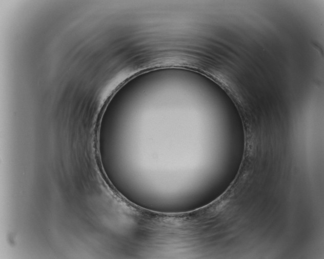 X0000099541086200805231121