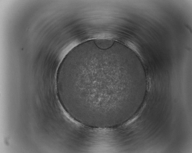 X0000099541087200805231121