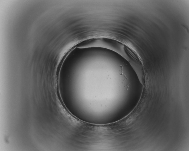 X0000099541088200805231120