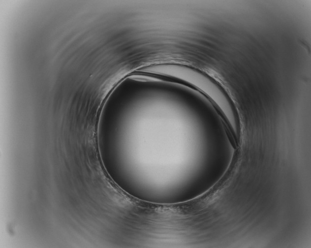 X0000099541089200805231120