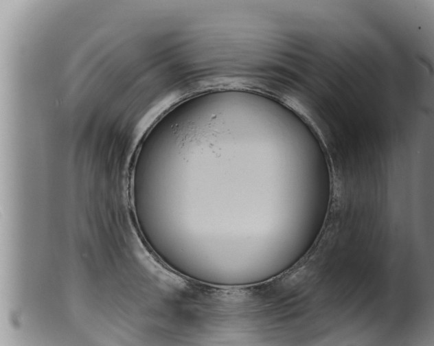 X0000099541090200805231120