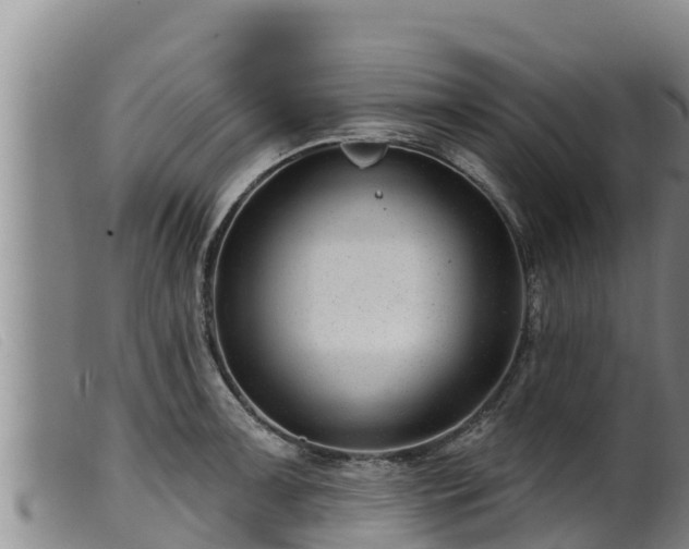 X0000099541091200805231120