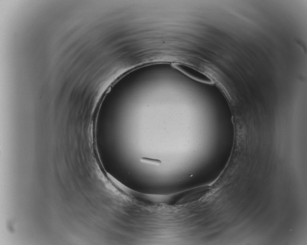 X0000099541092200805231120