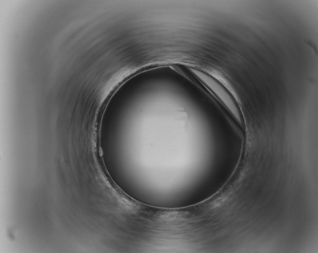 X0000099541093200805231120