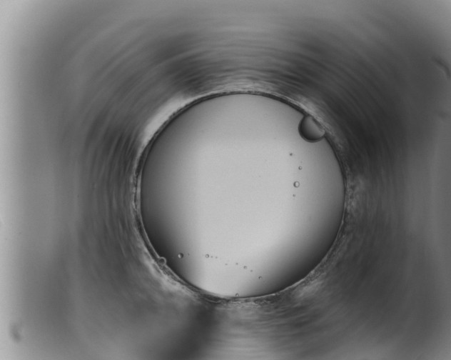 X0000099541094200805231120