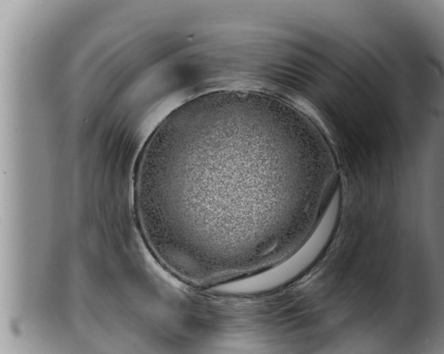 X0000099541095200805231120