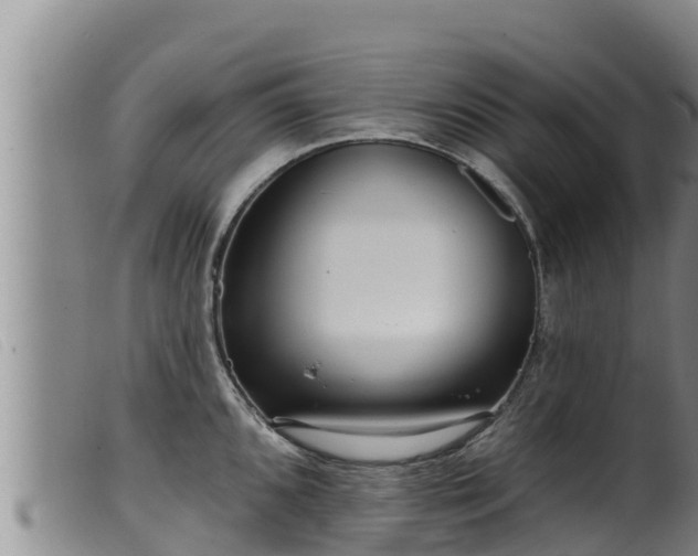 X0000099541096200805231120