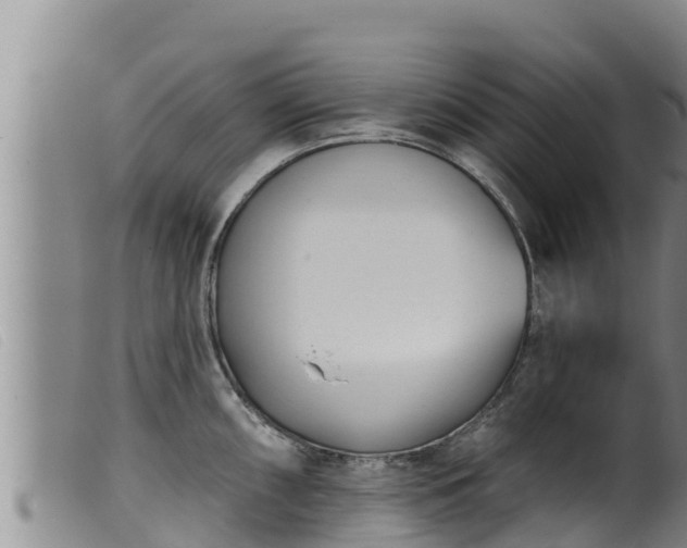 X0000099541098200805231120