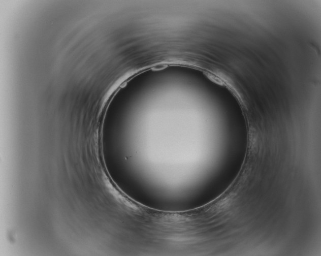 X0000099541100200805231120