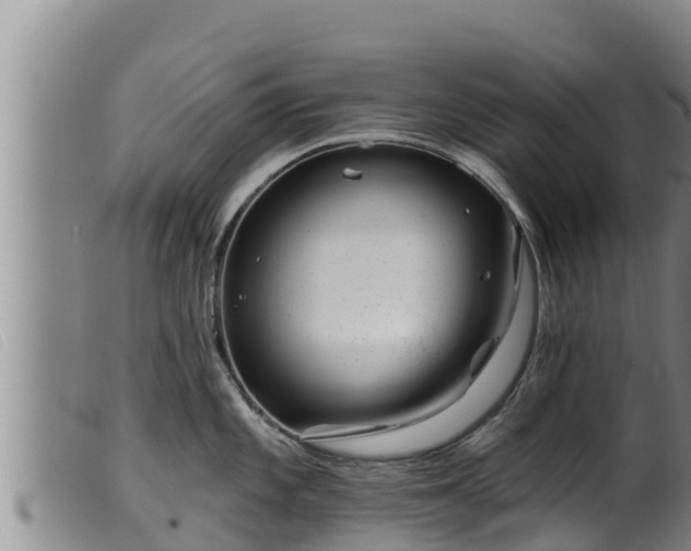 X0000099541101200805231120