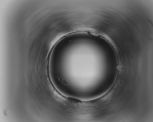 X0000099541102200805231120