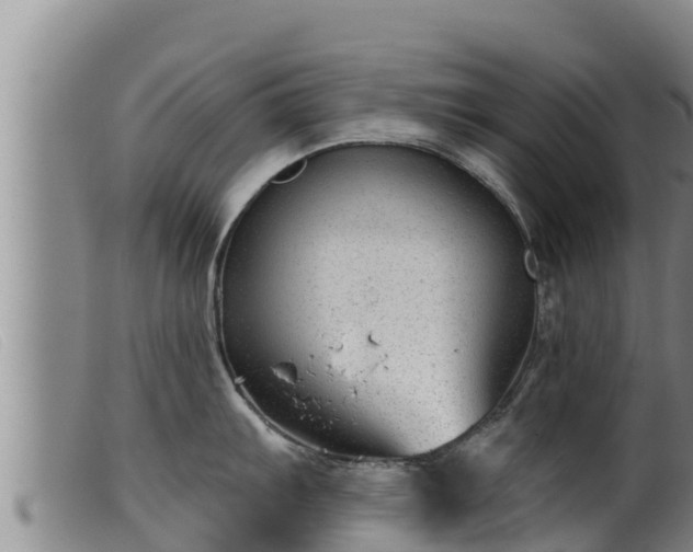 X0000099541103200805231120