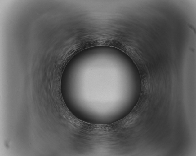 X0000099541105200805231119