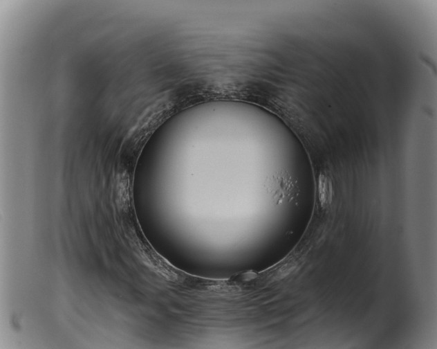 X0000099541107200805231119