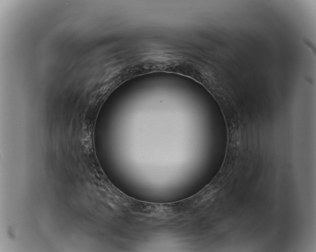 X0000099541109200805231119