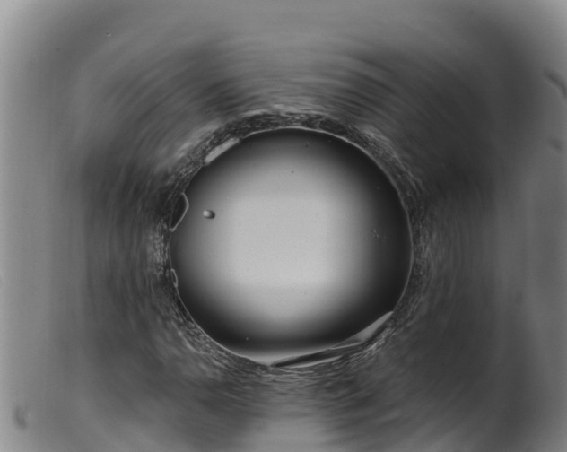 X0000099541110200805231119