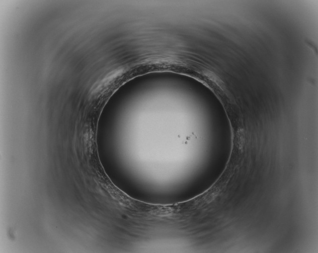 X0000099541111200805231120