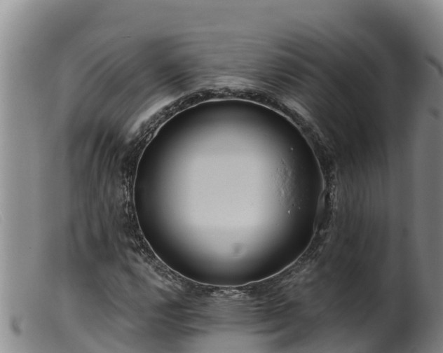 X0000099541112200805231120