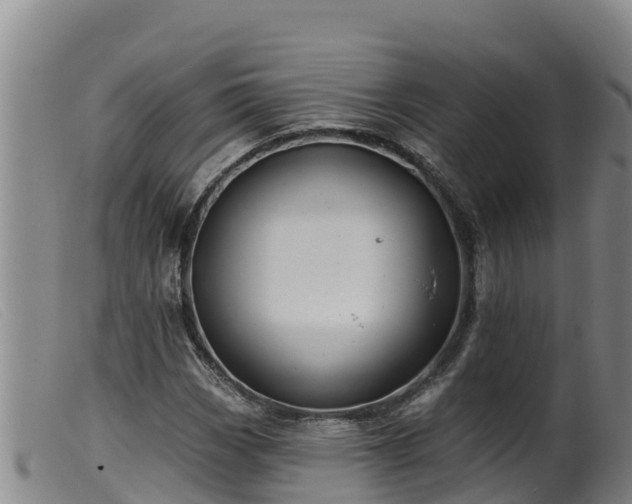 X0000099541113200805231120