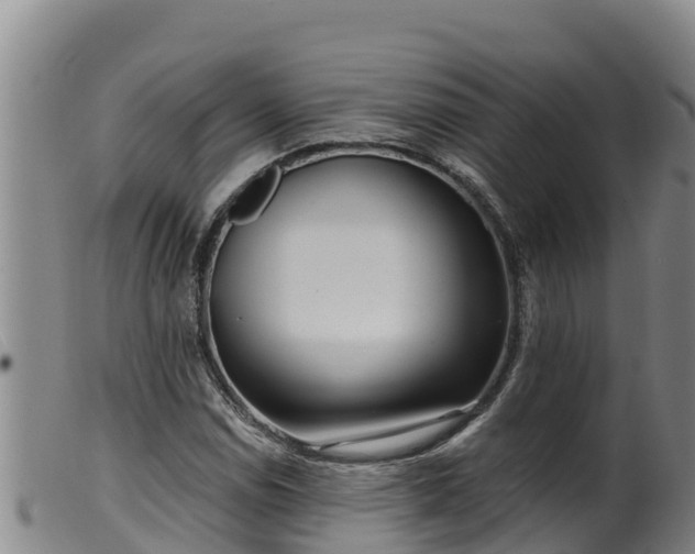 X0000099541114200805231120