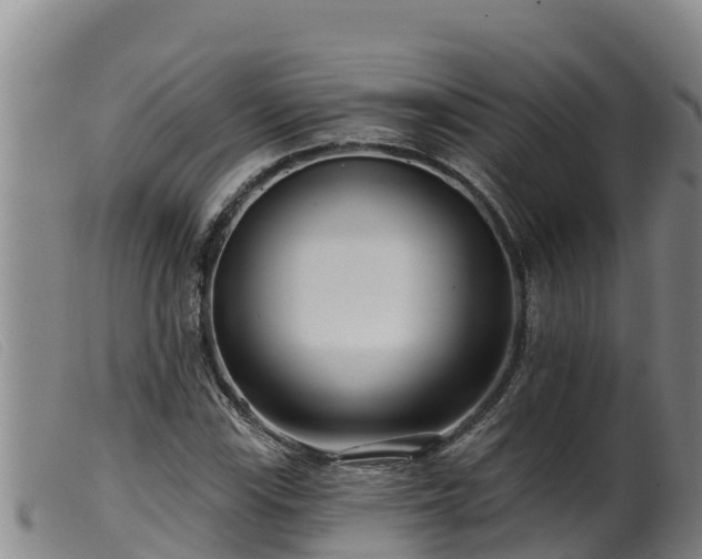 X0000099541115200805231120