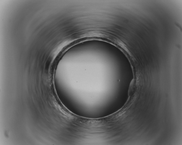 X0000099541116200805231120