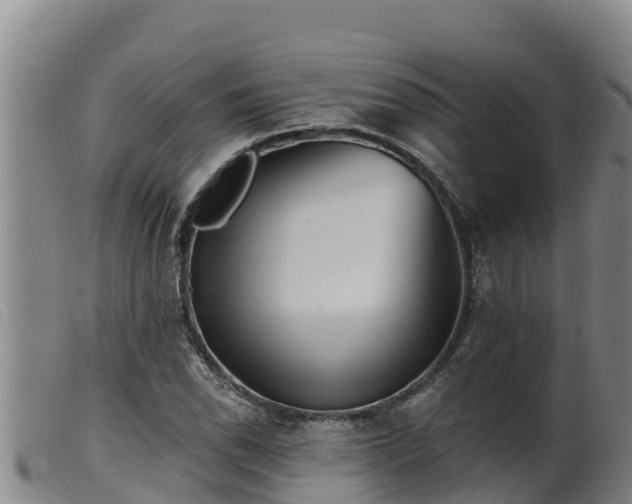 X0000099541118200805231120