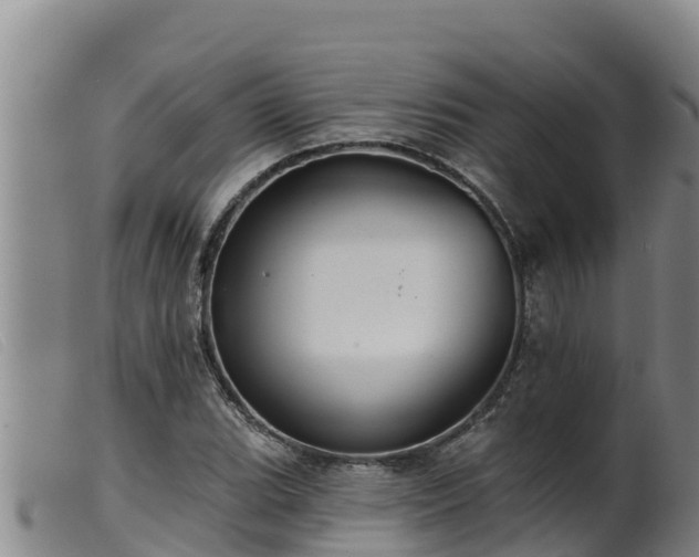 X0000099541119200805231120