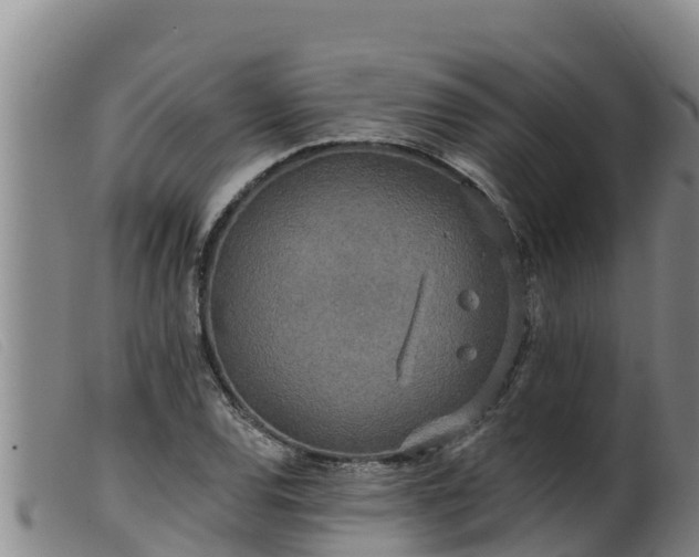 X0000099541120200805231120