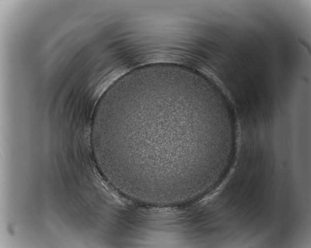 X0000099541121200805231120