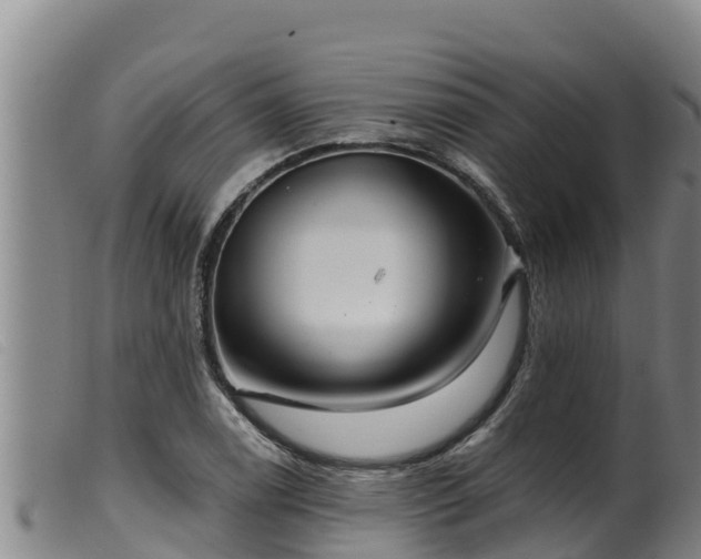 X0000099541122200805231120