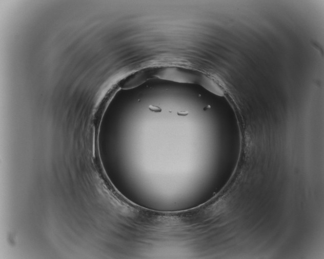 X0000099541123200805231120