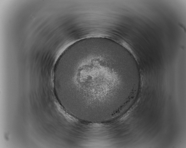 X0000099541124200805231120