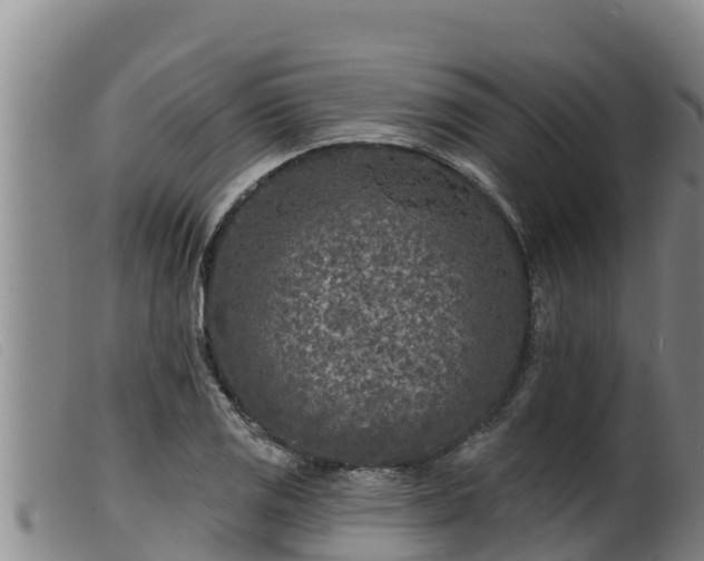 X0000099541125200805231120