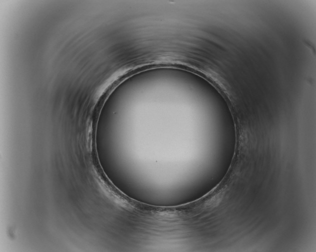 X0000099541126200805231120