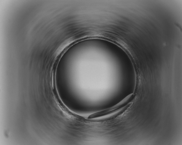 X0000099541127200805231120