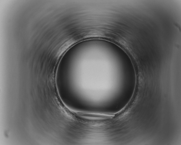 X0000099541129200805231120