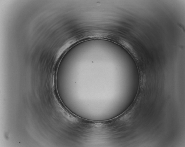 X0000099541130200805231120