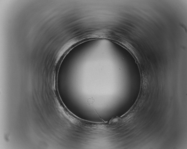 X0000099541131200805231120