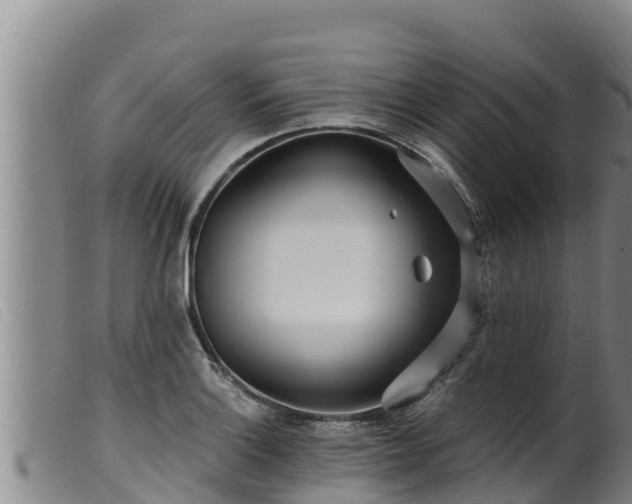 X0000099541132200805231120