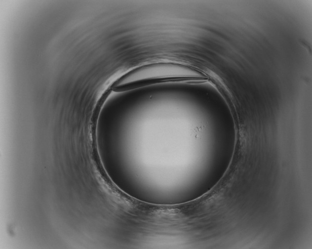 X0000099541133200805231120